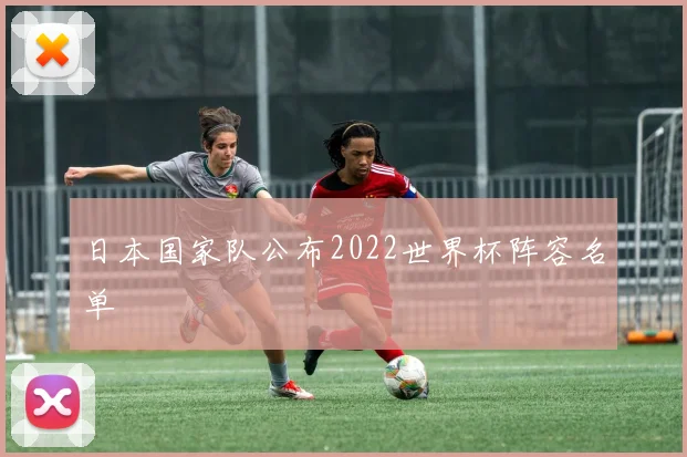 日本国家队公布2022世界杯阵容名单