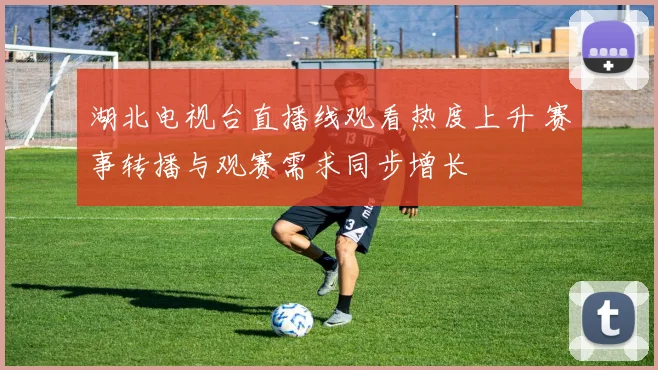 湖北电视台直播线观看热度上升 赛事转播与观赛需求同步增长