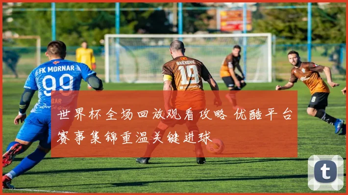 世界杯全场回放观看攻略 优酷平台赛事集锦重温关键进球