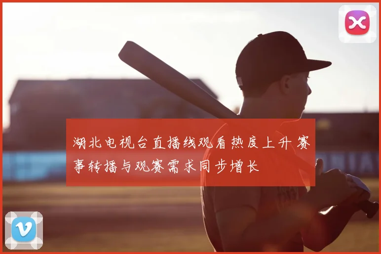 湖北电视台直播线观看热度上升 赛事转播与观赛需求同步增长