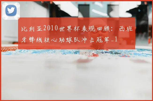 比利亚2010世界杯表现回顾：西班牙锋线核心助球队冲击冠军_1